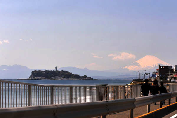403 sakura8 DSC_5806.jpg
